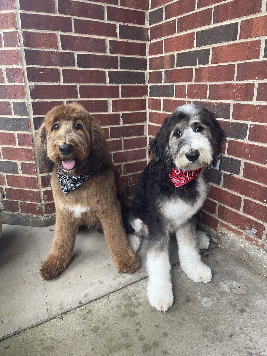 The handsome boys with they fresh cuts