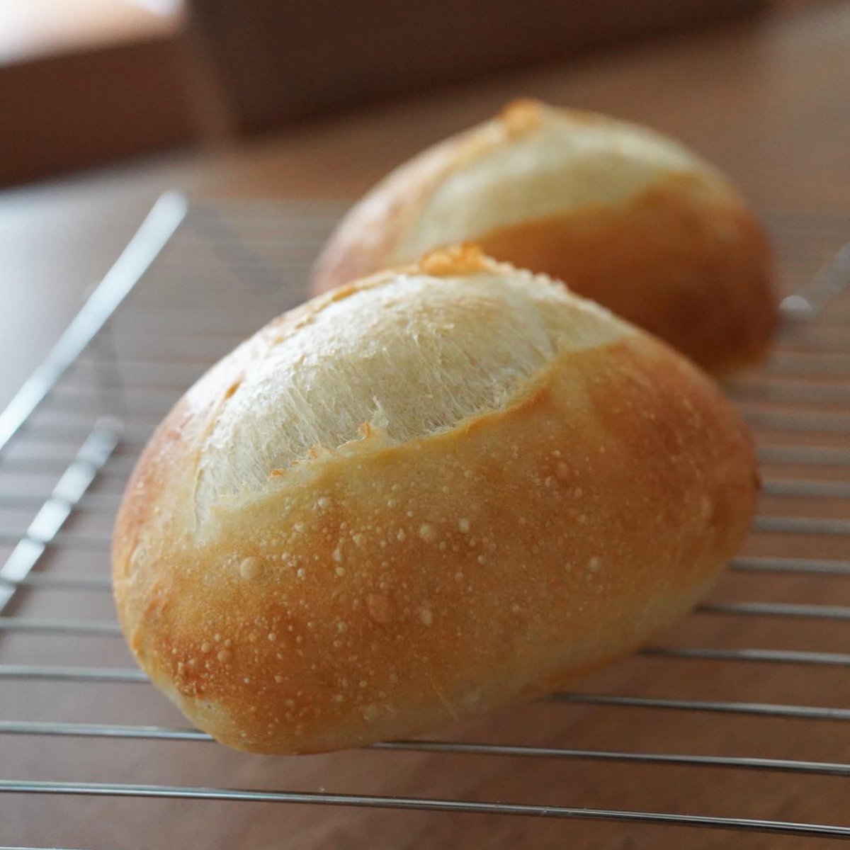 パニーニ焼きました。

こんな可愛らしい焼きたてチャパタを
オラァとプレスする私もなかなかアレです。

#手作りパン #チャパタ #パニーニ