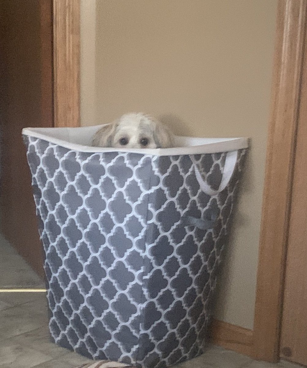 I love playing hide and seek.