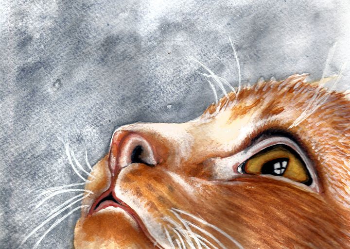Art of the Day: "Ginger Watercolour Cat". Buy at: ArtPal.com/Nmlart?i=94566…