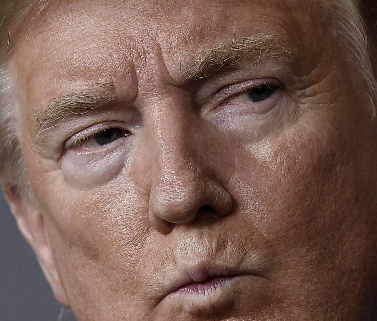 OccupyDemocrats's tweet image. BREAKING: Republican Donald Trump is hit with more devastating legal news as NBC News drops bombshell, reveals that “the Department of Homeland Security’s Inspector General has launched a CRIMINAL investigation into the circumstances surrounding the destruction of Secret Service…