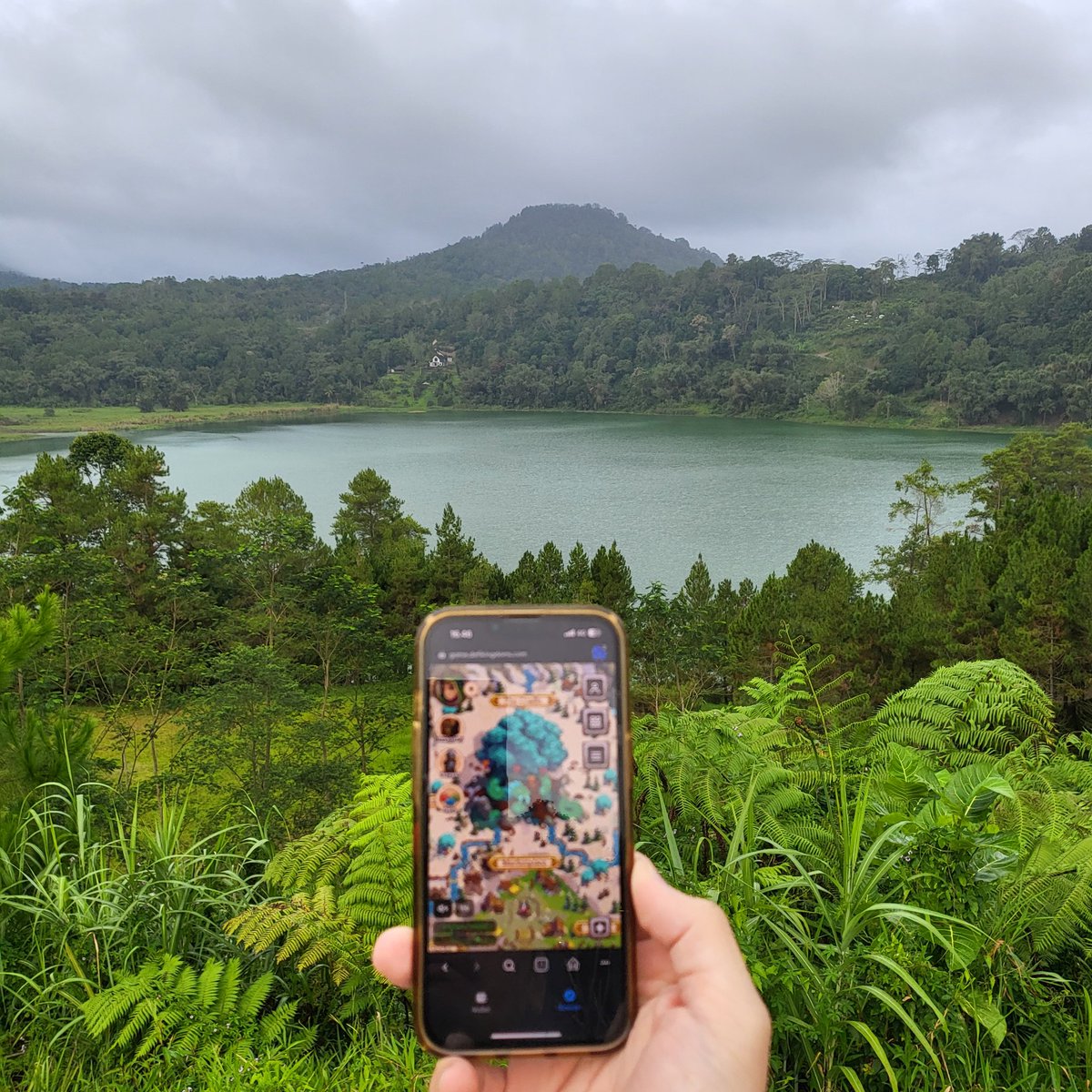 DFK questing at Lake Linow, Manado, Indonesia!
Spending a green (pump) day in a green scenery 🤣

$JEWEL
<a href="/DeFiKingdoms/">DeFi Kingdoms 🔺🌿</a> 
#DFKgoesto