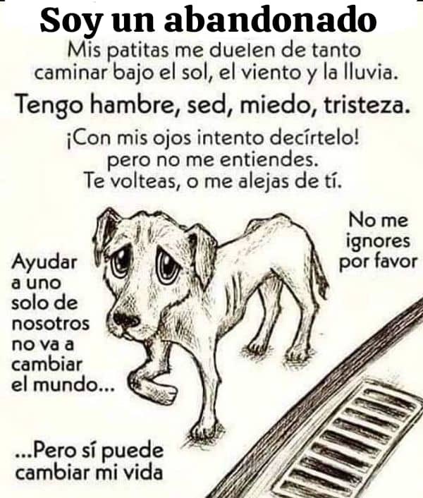NuriTrejo's tweet photo. #21Jun Ayuda a los necesitados, desvalidos, en desventaja con muchos, te pienso mi #LuluSomosTodos e imagino dónde estarás, no te abandoné pero la perversidad humana decidió. #DevuélvanALulu No voltees tu mirada, si ves a LuluEsDeTodos ayúdala! a estos inocentes también #Seguimos https://t.co/NGqfKeSb1v