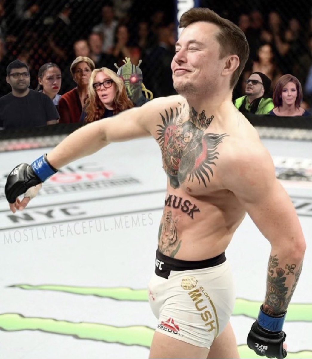 Wall Street Mav tweet media