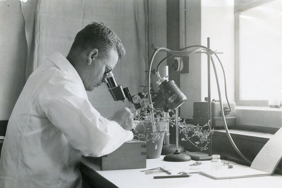 Canberra Insider tweet media