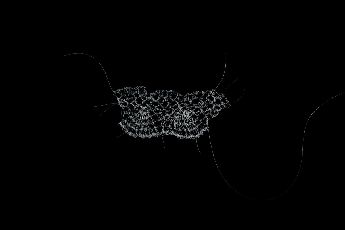 2023.6.24（sat）-7.2（sun）
11：00-17：00

髙橋涼子個展
"愛すべき存在"
6月、kasperで初となる髙橋涼子さんの個展を
開催致します

その繊細な手仕事のメディアと
なっているのは彼女自身の頭髪です
この世界の命のあるもの
輪郭を

ご高覧ください