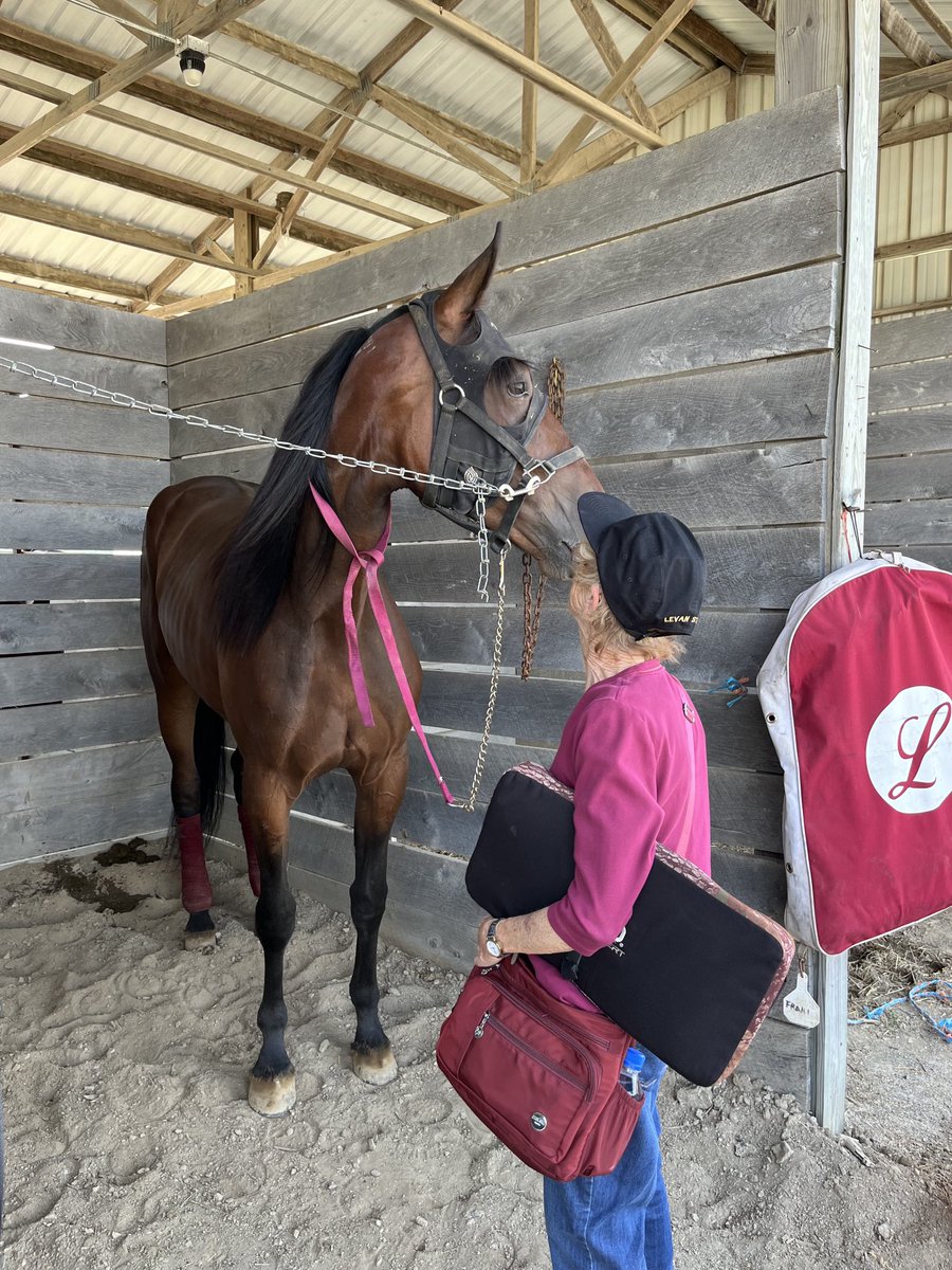 FRANTASTIC L made it 3 wins in a row, winning again today at Ottawa, OH.