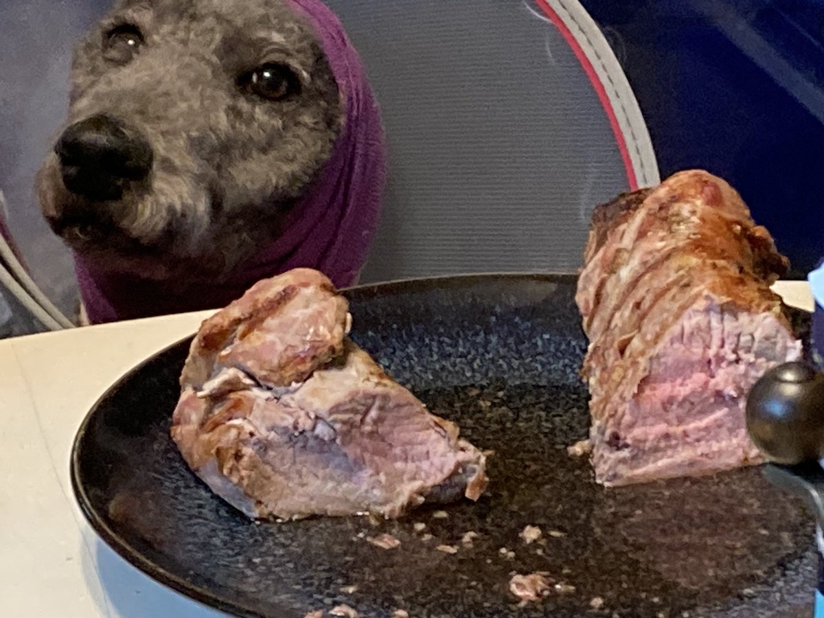 I have to wear this stupid head wrap and the cone of shame, I totally deserve pork tenderloin