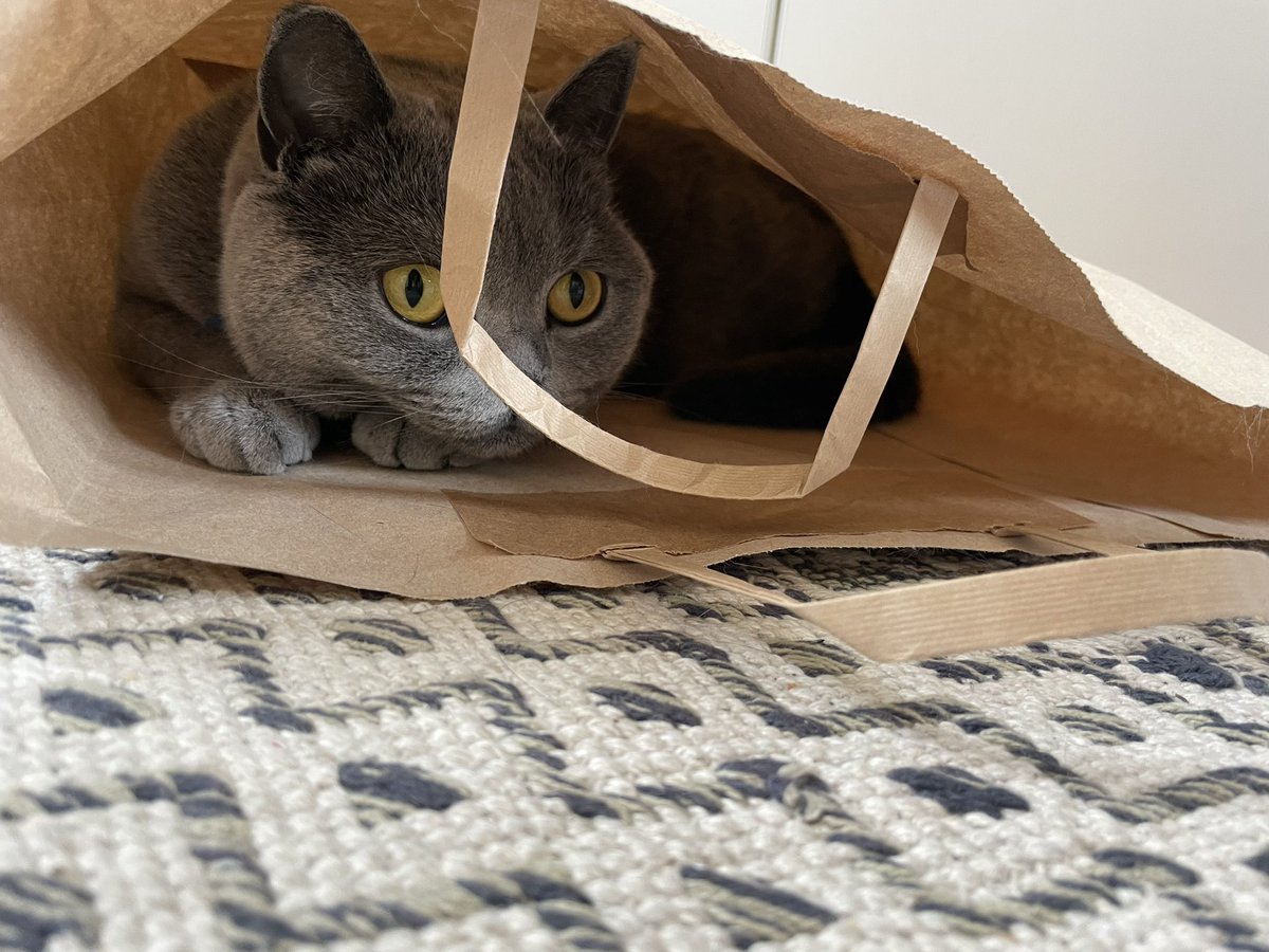 あばばばばがわいい😭😭😭 https://t.co/26wtr6x5JO