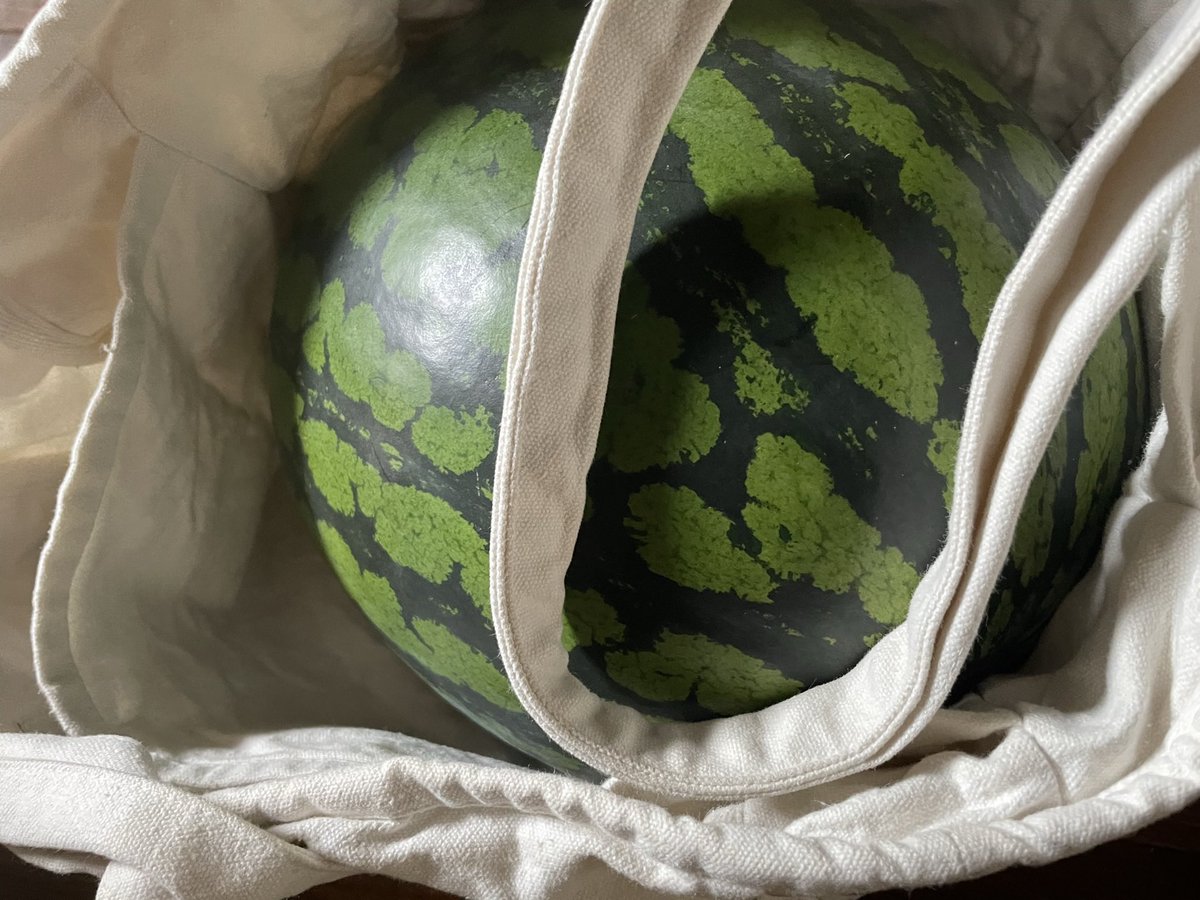 近所に住んでる作家ご夫妻にスイカのおすそわけ（実家の）
ひくほど重い https://t.co/Vm8OcqwlHD