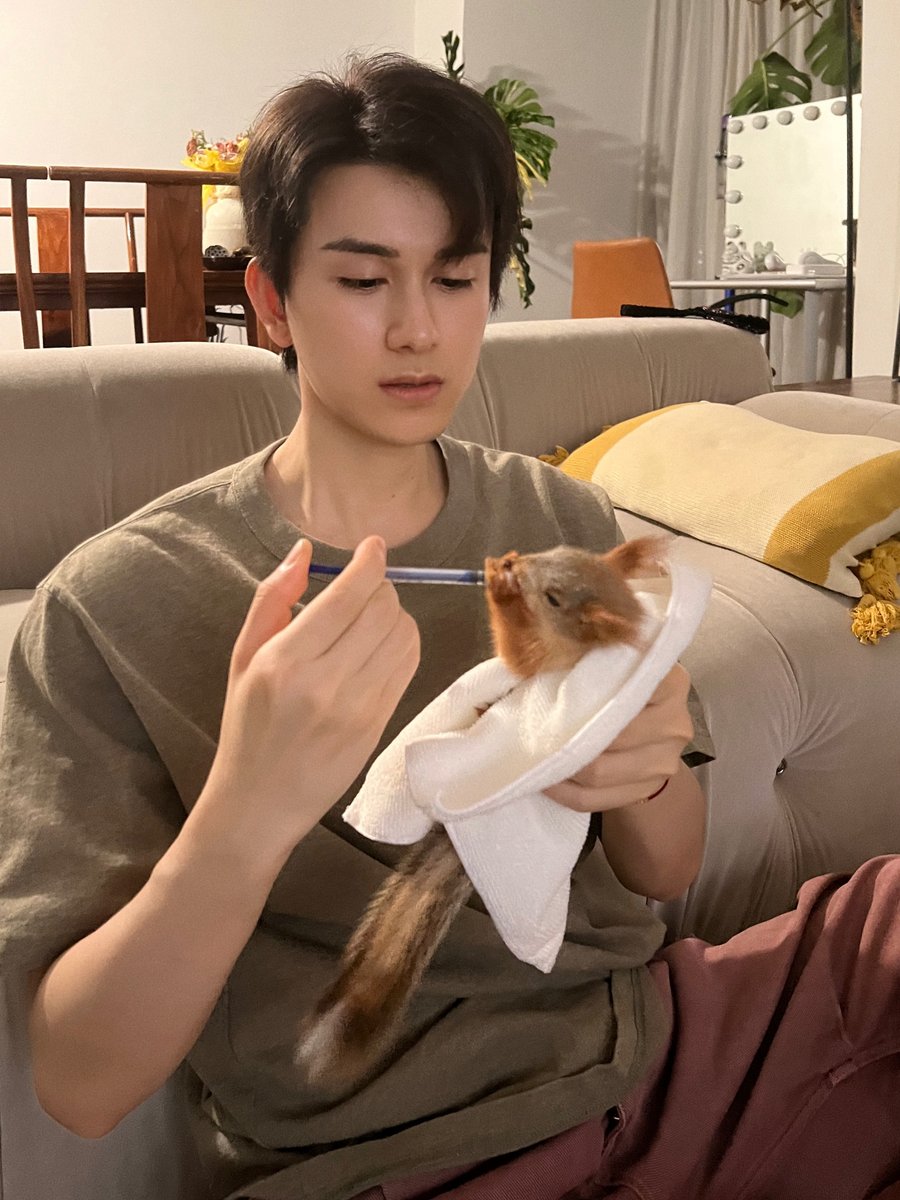 zanjinthings's tweet photo. Zhu Zan Jin getting a new baby ?????

We love animals lover 

#朱赞锦 #zhuzanjin #จูจ้านจิ่น #주찬금 #チュウ・ザンジン https://t.co/Jx1MataXF4