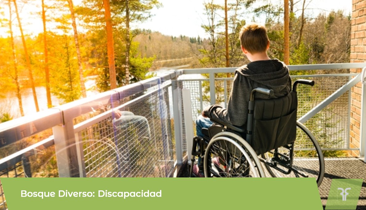 ➤“Bosque Diverso: Discapacidad”
➤ Conoce más: bit.ly/42HHIHj
➤ Vía: @OIM_Mexico©
#InclusiónEducativa | Día Internacional de los Bosques Tropicales