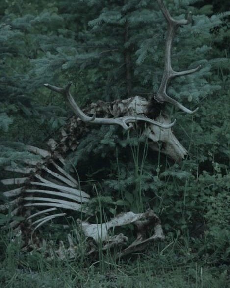 waytogreatncss's tweet image. ⠀
      ❛  i’m made up of black coffee,
         untamed hair,
         and poorly supressed anger.

                          sʟʏᴛʜᴇʀɪɴ ᴀᴜ ʜᴀʀʀʏ ᴘᴏᴛᴛᴇʀ
                                    #𝐰𝐫𝐢𝐭𝐭𝐞𝐧𝐛𝐲𝐥𝐞𝐬𝐥𝐢𝐞 
⠀