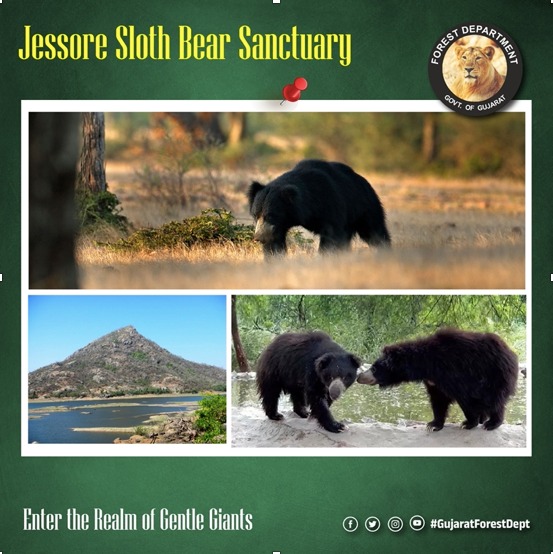 Jessore Sloth Bear Sanctuary: Discover Nature’s Hidden Gem Jessore Sloth Bear Sanctuary: Discover Nature’s Hidden Gem