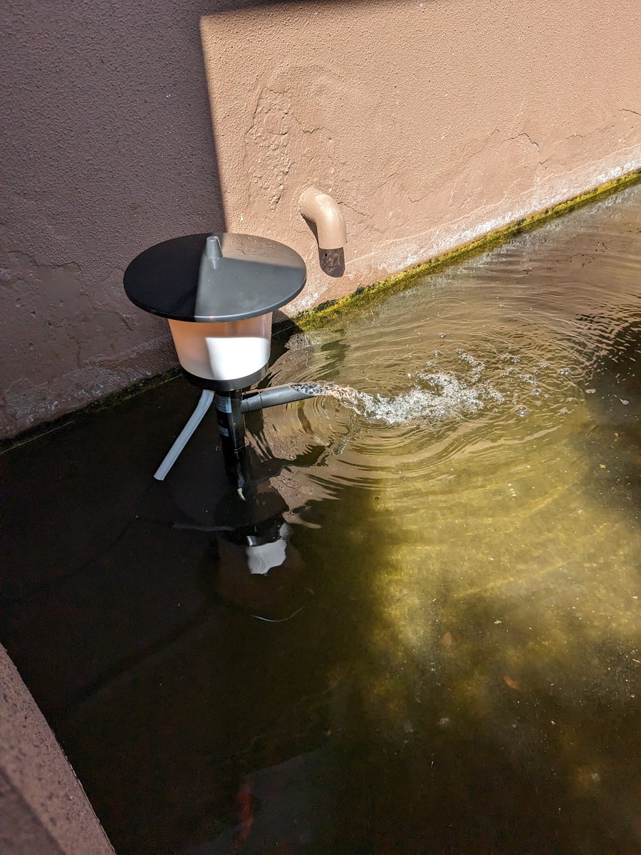 aquasm07's tweet photo. 池クリーナーを鯉が押し倒して水没して漏電しました。僕もビリビリしました。生き物は予想以上の行動をする。 https://t.co/FEM1nQhlBT