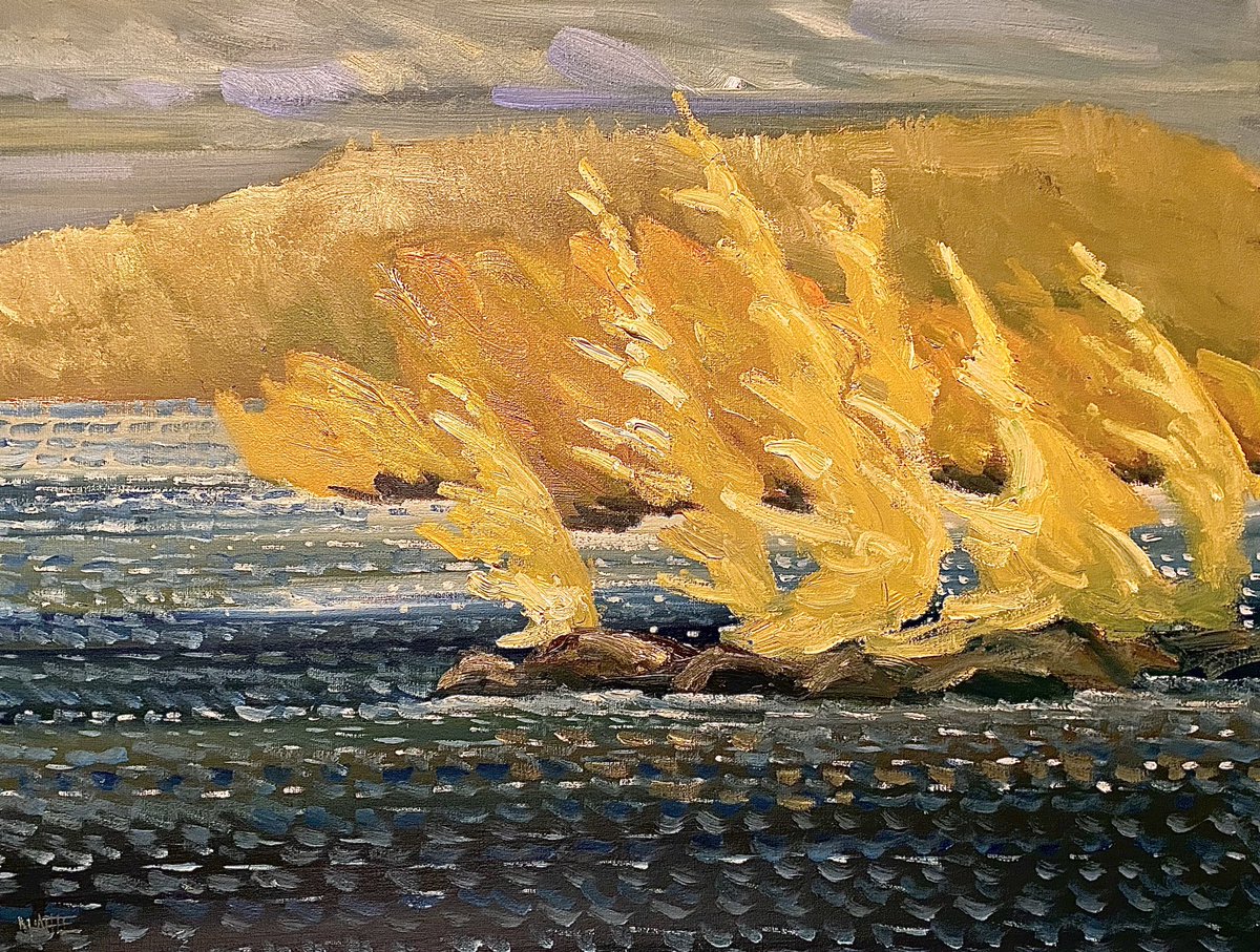 robertmcaffee's tweet photo. Windy Tamaracks
Algonquin, 2022
18”x24” oil on canvas
1430.00. Unframed
Now Available #artsale #tamaracks https://t.co/hcQ5DbcCxX