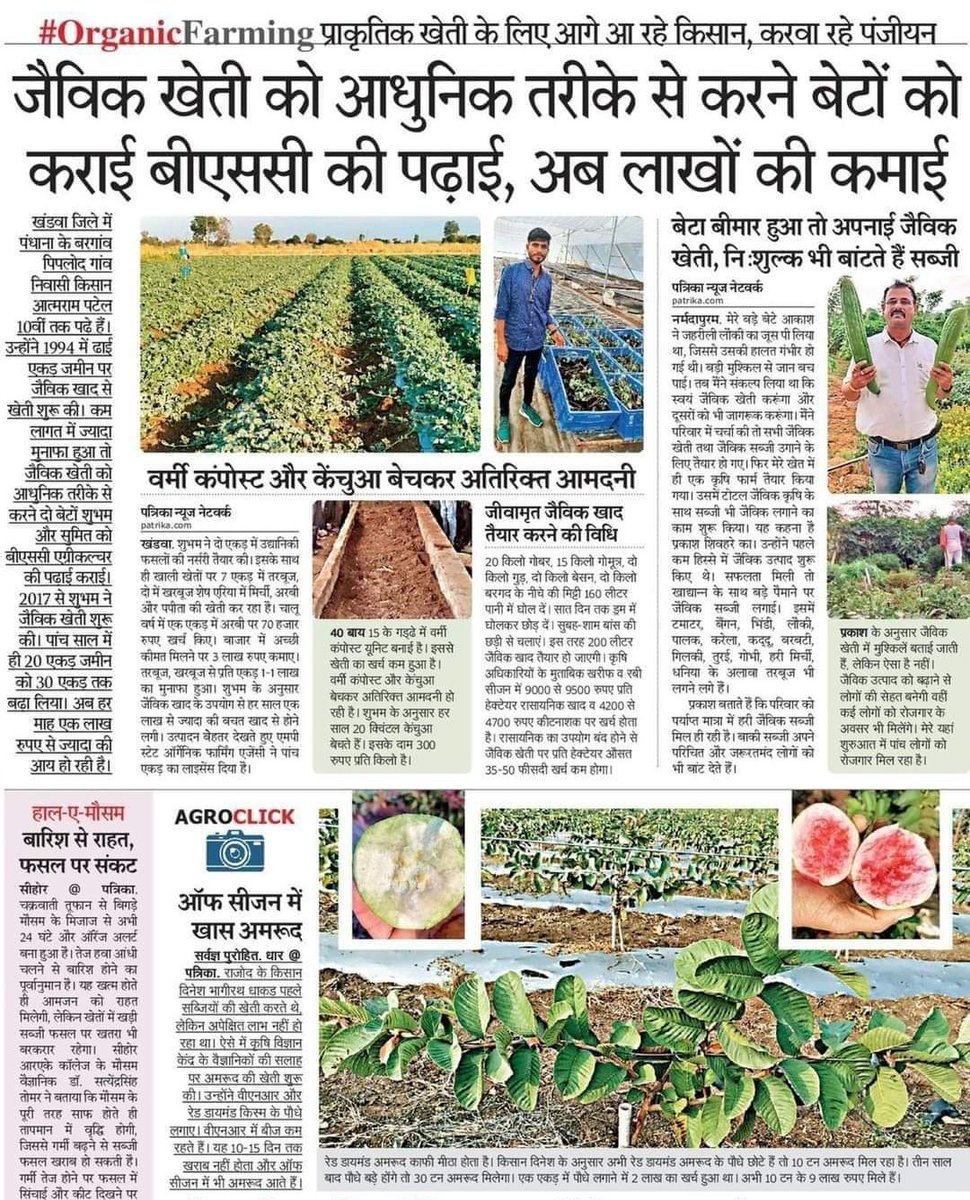 Chainar34512707's tweet photo. #जैविक खेती अपनाइए https://t.co/l5pGNODVkZ
