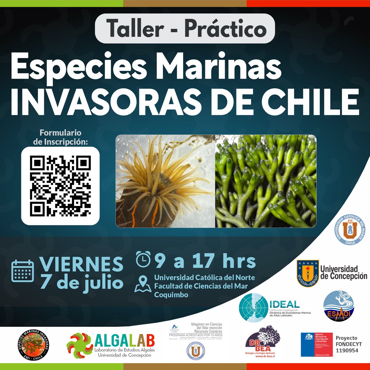 Nuestro Director Dr. Erasmo Macaya <a href="/erasmomac/">Erasmo Macaya Horta</a> participará en el próximo 
📢TALLER-PRÁCTICO📢 
🔹ESPECIES MARINAS INVASORAS DE CHILE
🗓️Viernes 7 de Julio: 09 a 17 horas.
📍 Facultad de Ciencias del Mar, UCN, Sede Coquimbo.
Cupos limitados❗️
Inscripción en docs.google.com/forms/d/e/1FAI…