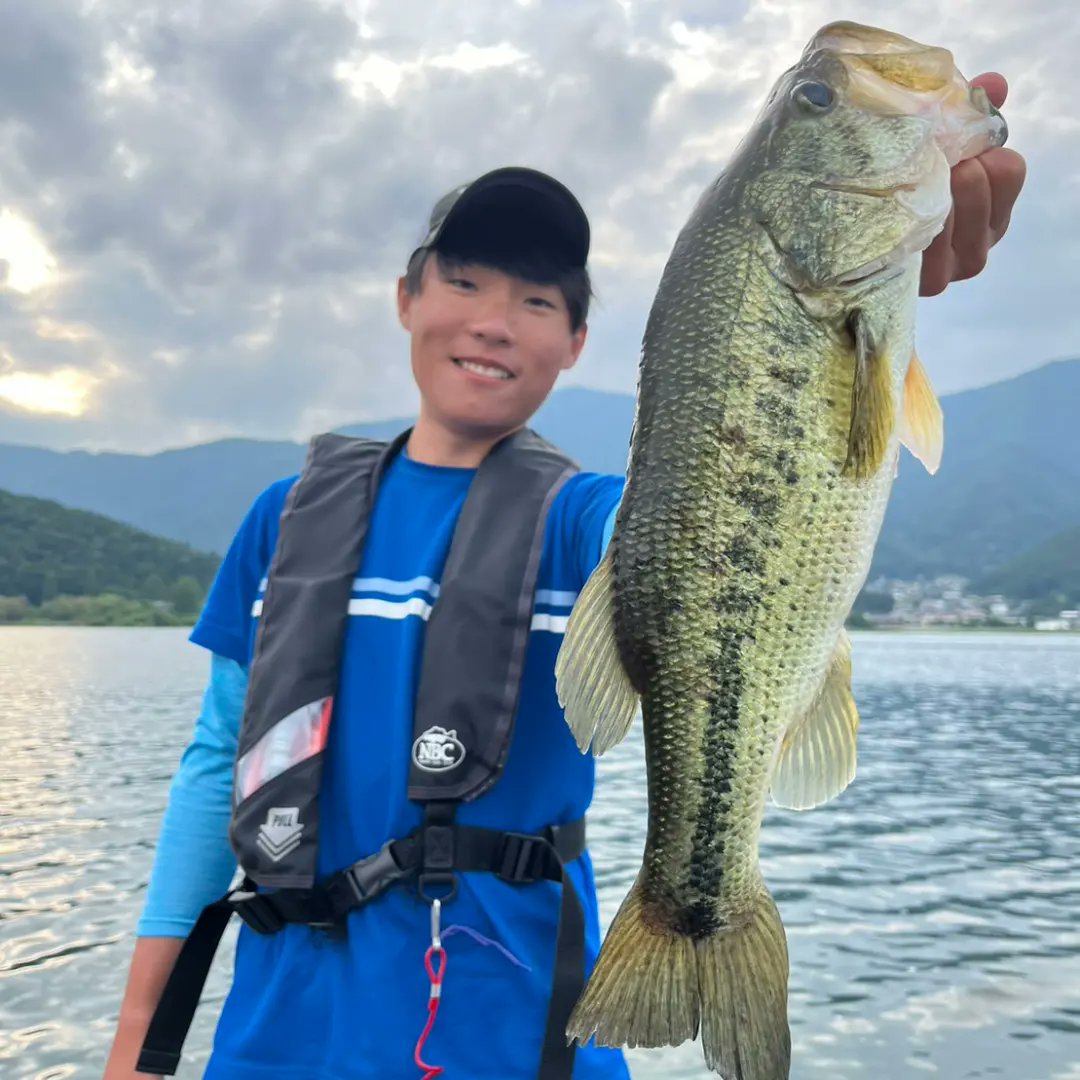 shohei_bass87's tweet image. 6/21 河口湖練習！⁡
⁡⁡
⁡ライブシューティングで47cm！⁡
特大を2バラシしてしまったのでチャプターまでに修正します！⁡
⁡⁡
⁡ #tailwalk⁡
⁡ #FULLRANGE⁡
⁡ #テイルウォーク⁡
⁡ #フルレンジ⁡
⁡ #サンライン⁡
⁡⁡ #河口湖⁡
⁡⁡ #大槻祥平