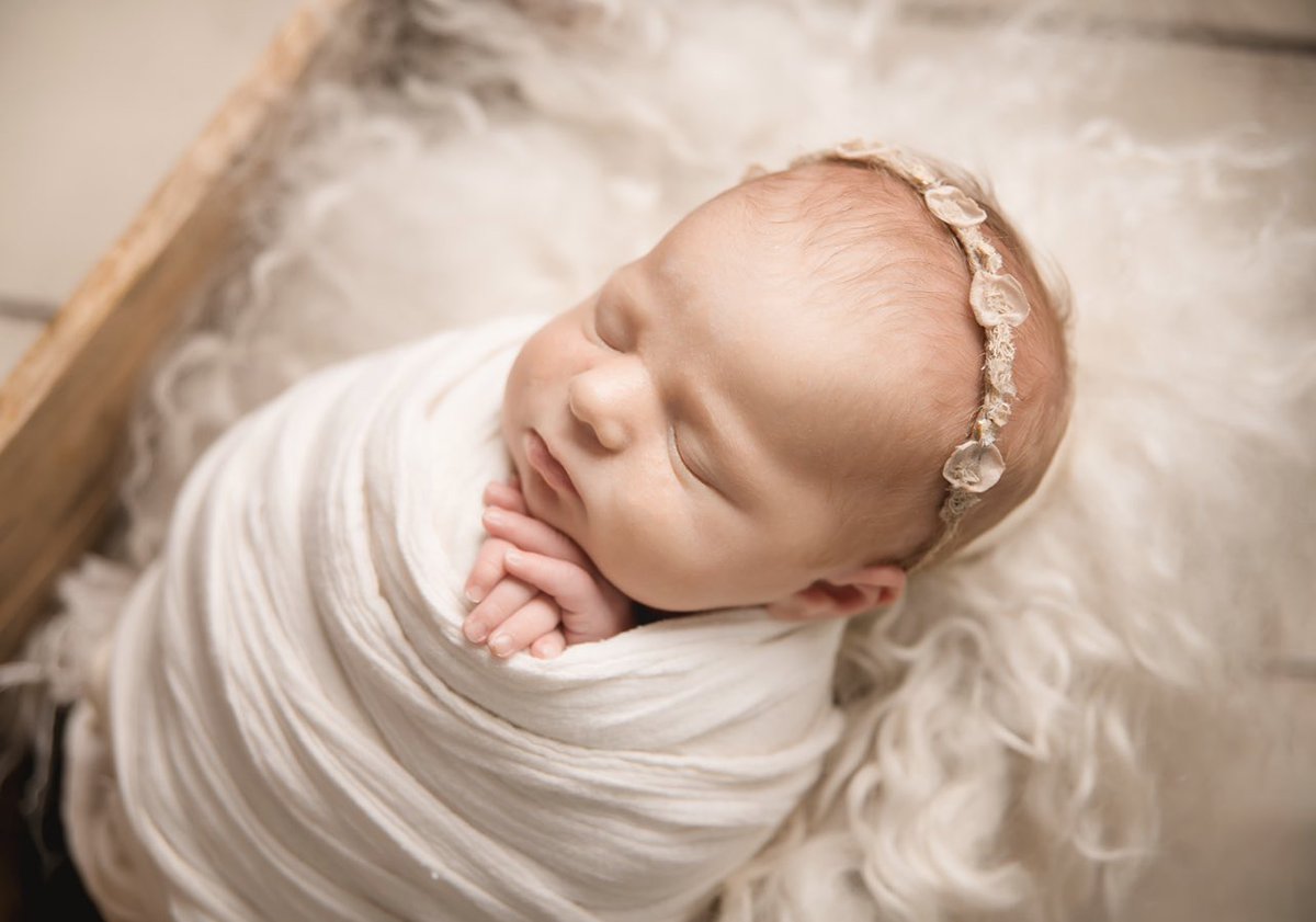 Nicole M. Gaudelli tweet media