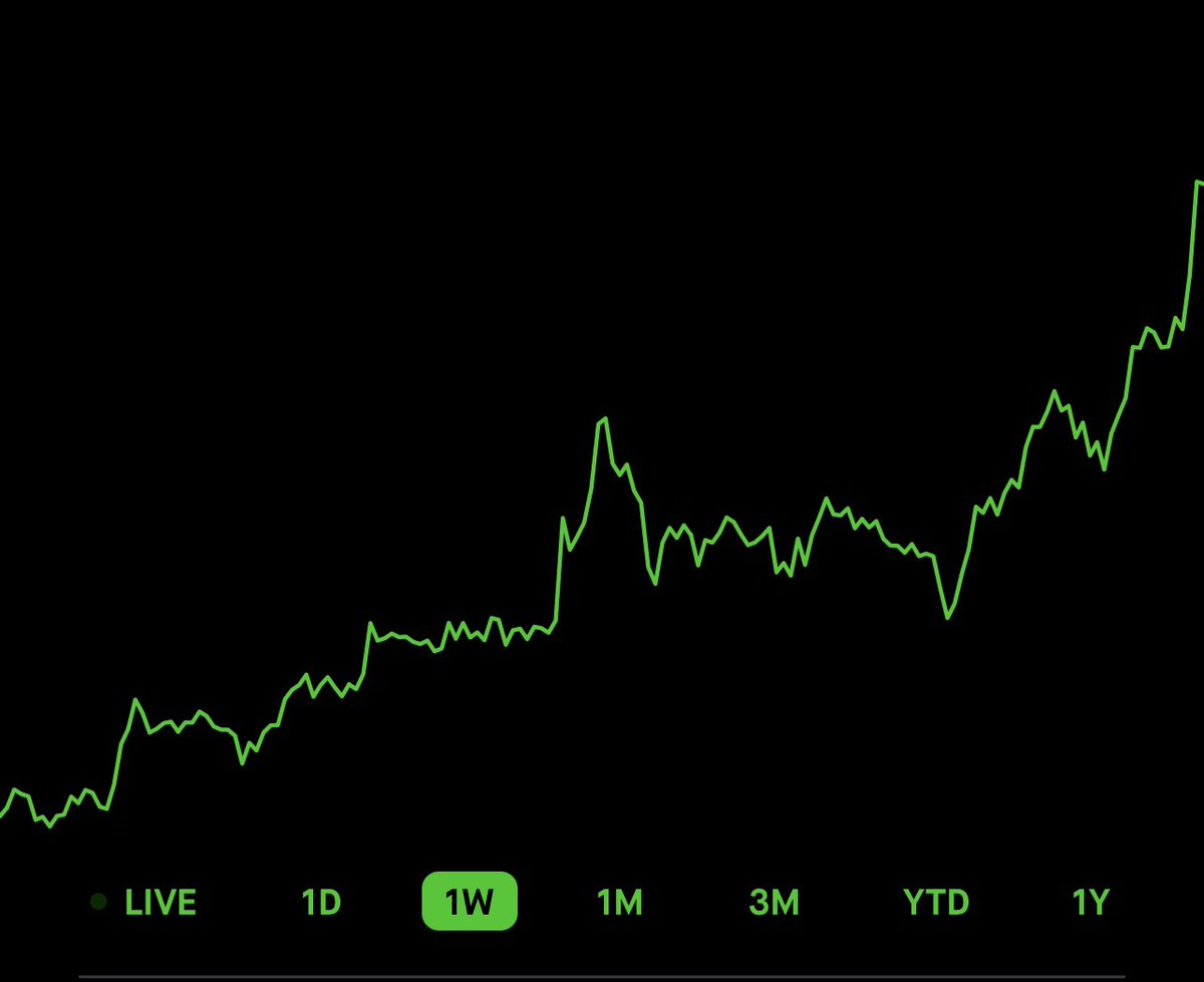 Looking better and better each week