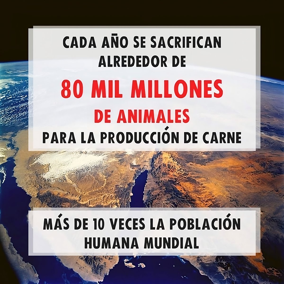 Es momento de despertar!
El reconocer un error es el gran paso para enmendar un daño.
Te dejo dos poderosos documentales, que te harán cuestionar y reflexionar sobre tus propios actos.
#veganismo 

1. #Earthlings: youtu.be/8o72fsbulX8

2. #Dominion:
youtu.be/LQRAfJyEsko

.