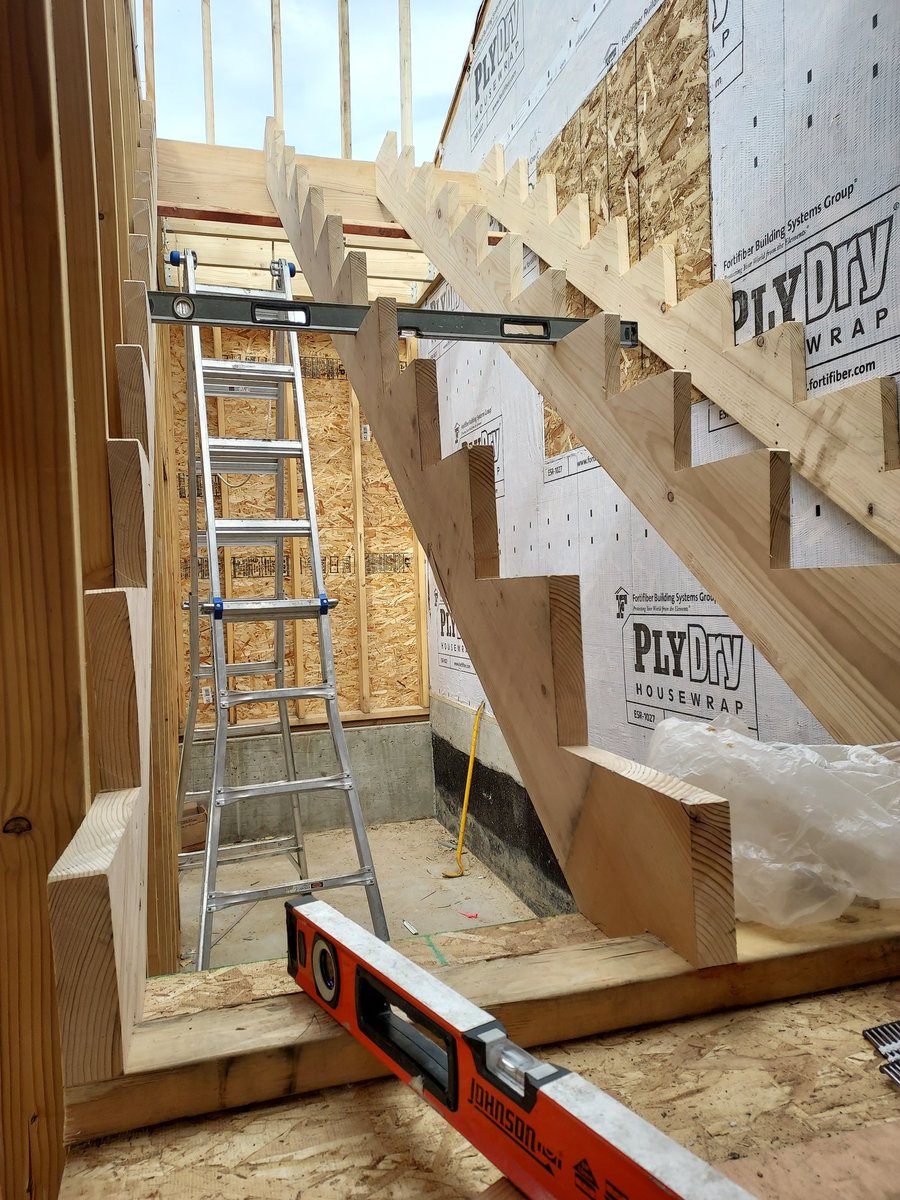 Lyn34703072's tweet photo. Built some stairs today. It felt like i was in the mosquito capital of the world https://t.co/GDmL8zHokG