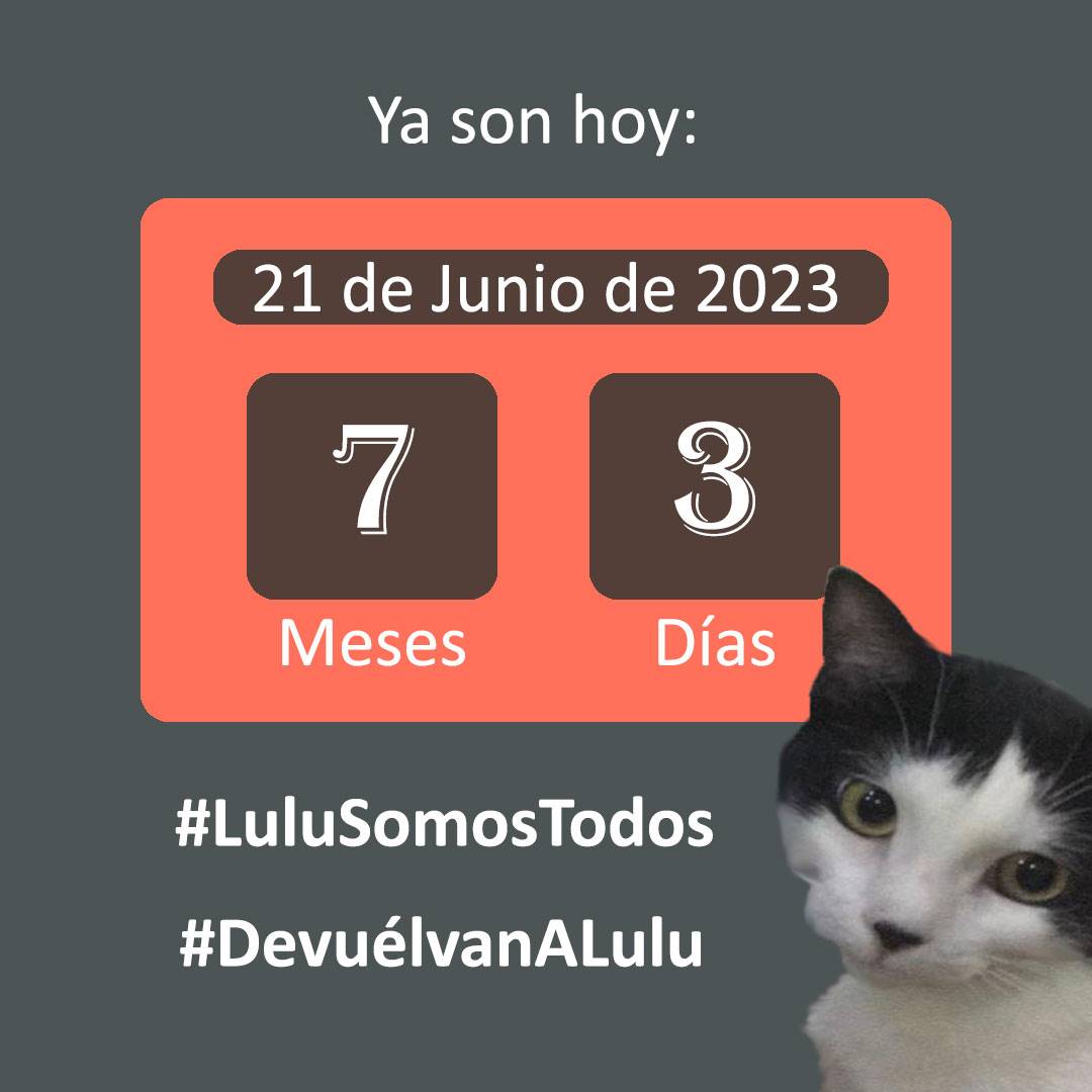 #21Jun #JUSTICIAPARAGOL Y #Lulu #LuluEsDeTodos #LuluSomosTodos #DevuélvanALulu #Seguimos #SeBusca