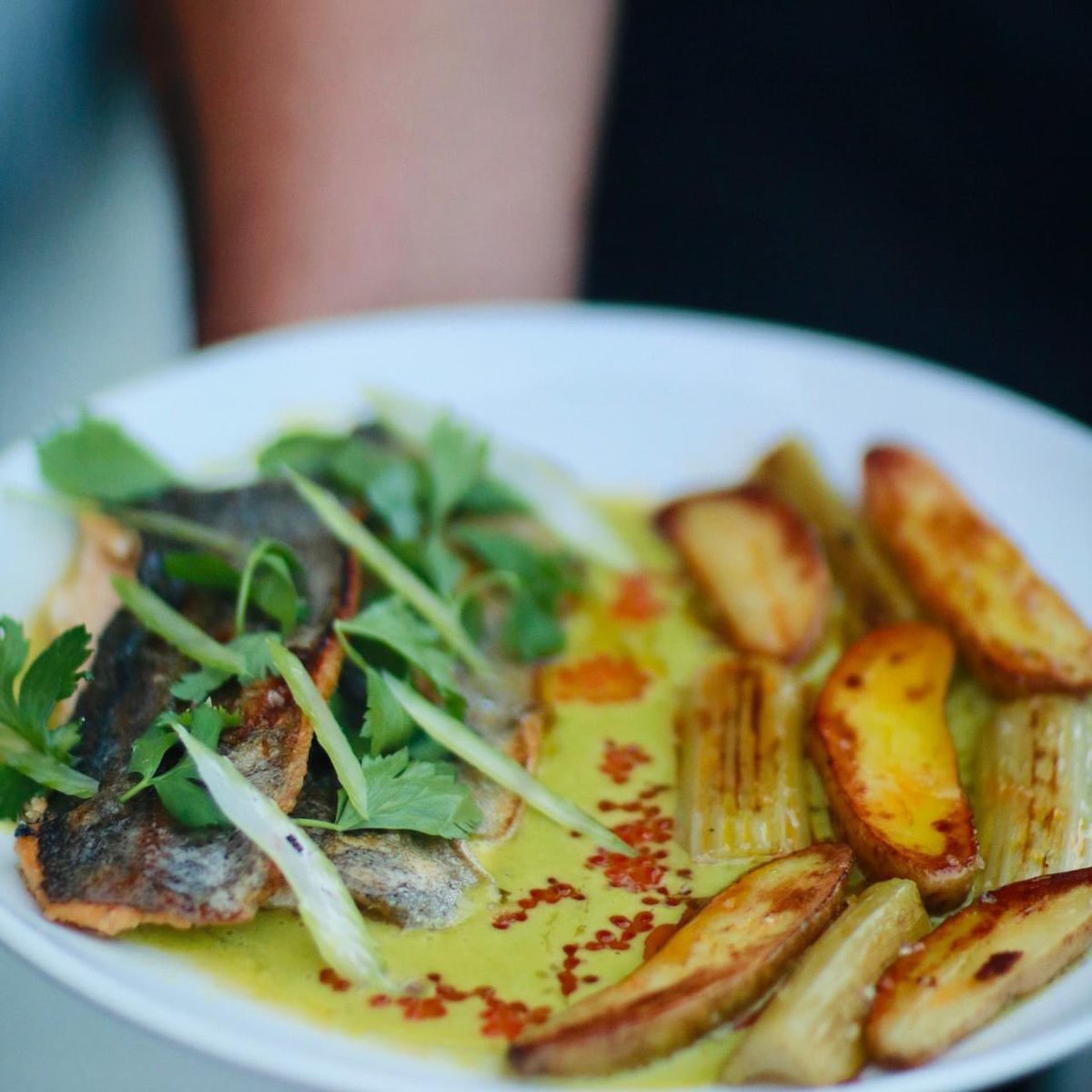 adogslifeTO's tweet photo. Hathorne Restaurant Nashville
🐟 New menu item-
BUCKSNORT TROUT
Fingerling Potato, Celery, Beurre Blanc, Smoked Trout Roe
🐠🧈🥔🍷🥃🍽🌿
#pescatarian #nashville #musiccity #finedining #toprestaurant #bestofnashville #creativemenu #trout #bucksnort #local #supportlocal https://t.co/IyS6eNYExo