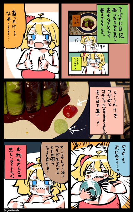 アボカド食らうあったけえフロリダちゃん日記です。🥑 