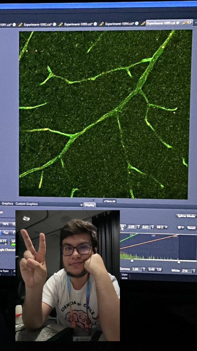 Isaac Vidal, MSc🔬🧬🧫 tweet media