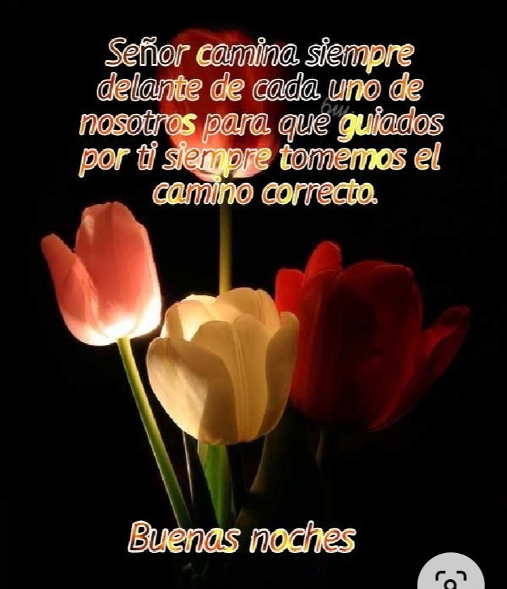 ✨✨Dulces sueños ✨✨