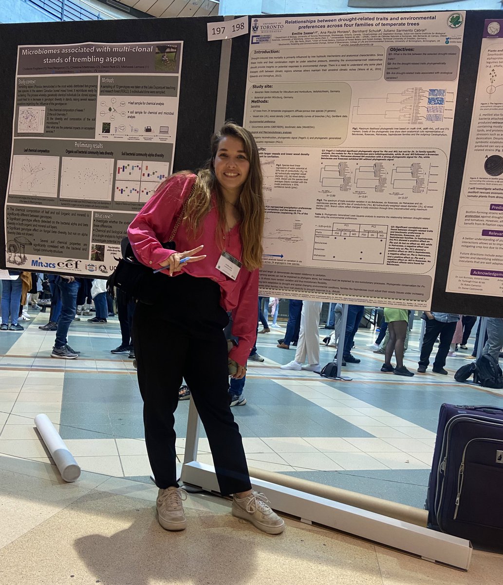 Emilie.isasa tweet media