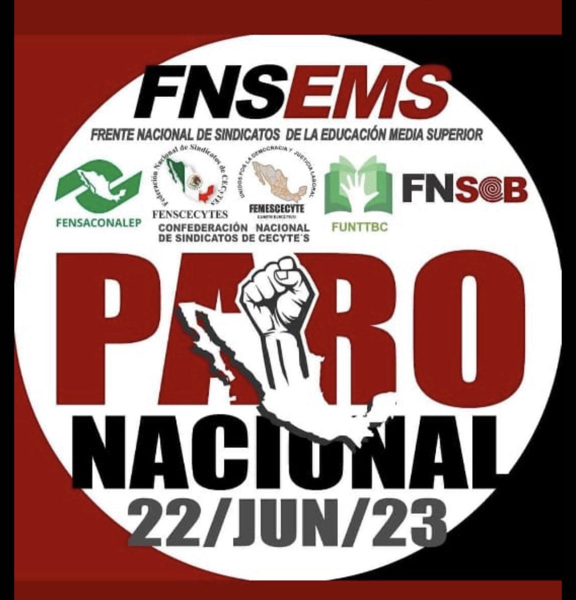 Faviola Maldonado G. tweet media