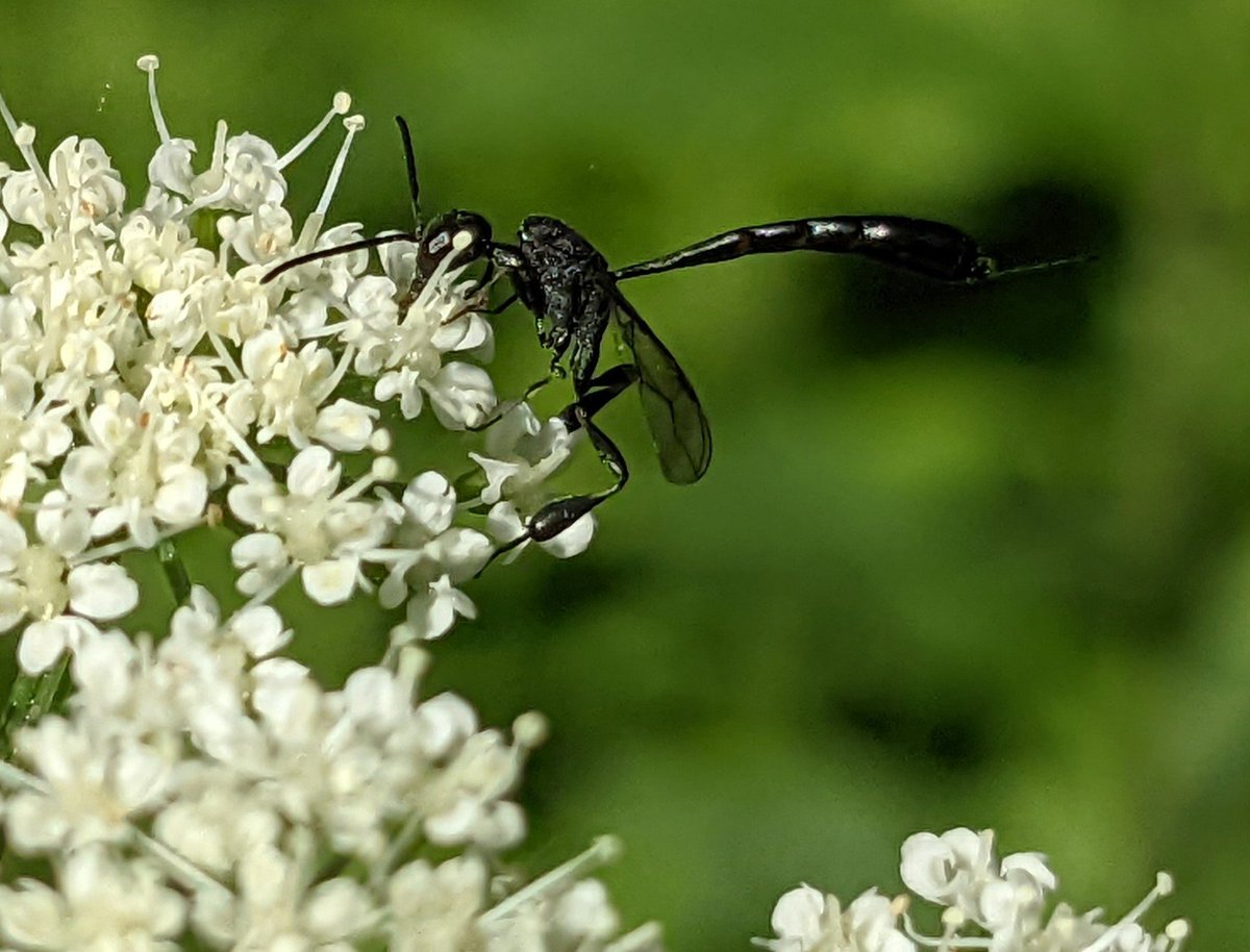 🏳️🌈Timo Wayman🇵🇷 tweet media
