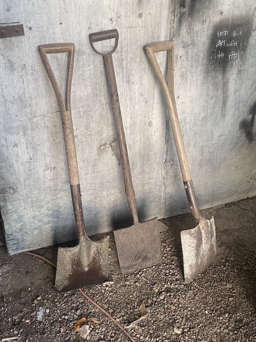 Gente, vine a visitar a mis padres y me encontré con esto! Nunca más vengo a visitarlos un susto!