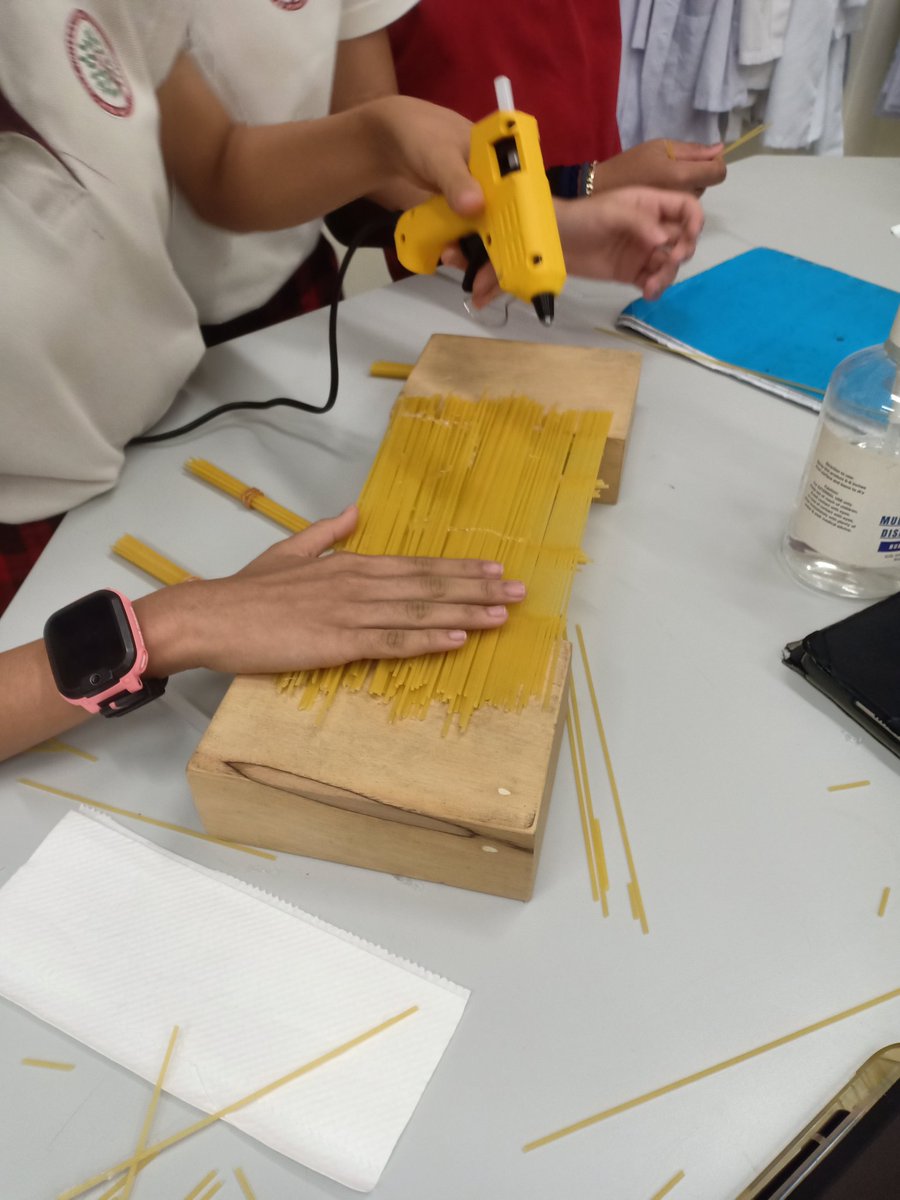 PremzCuriositi1's tweet image. Designing and building bridges based on science and engineering principles. Which is the strongest? @HISScienceNow #HIS_learning