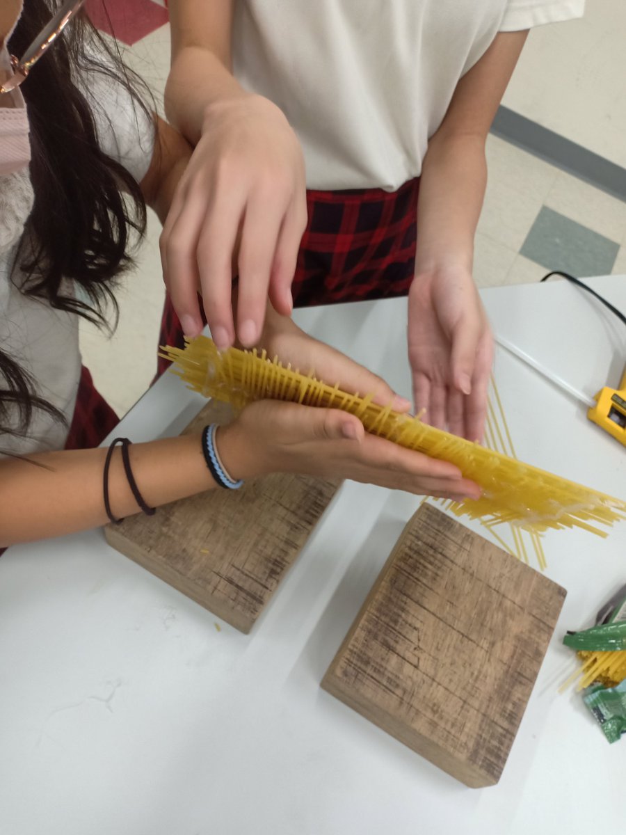 PremzCuriositi1's tweet image. Designing and building bridges based on science and engineering principles. Which is the strongest? @HISScienceNow #HIS_learning