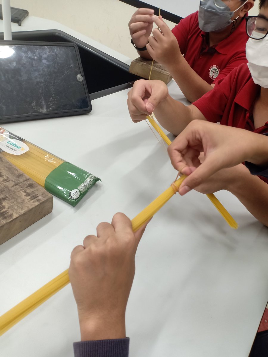 PremzCuriositi1's tweet image. Designing and building bridges based on science and engineering principles. Which is the strongest? @HISScienceNow #HIS_learning