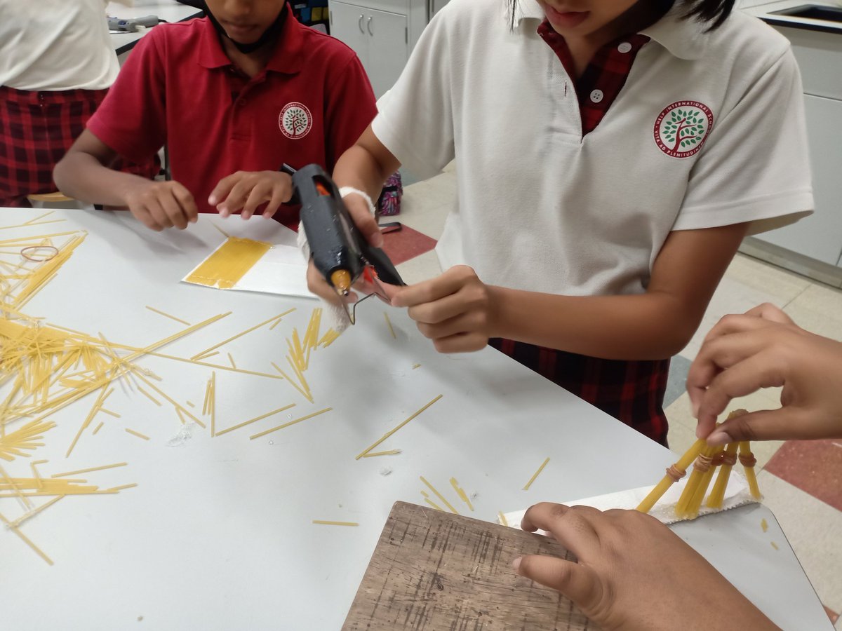 PremzCuriositi1's tweet image. Designing and building bridges based on science and engineering principles. Which is the strongest? @HISScienceNow #HIS_learning