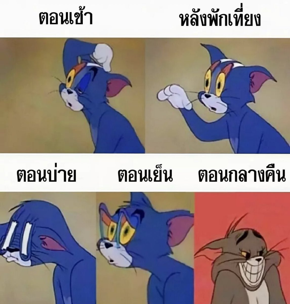 ช่างแม่ง🐰🏳️🌈 tweet media