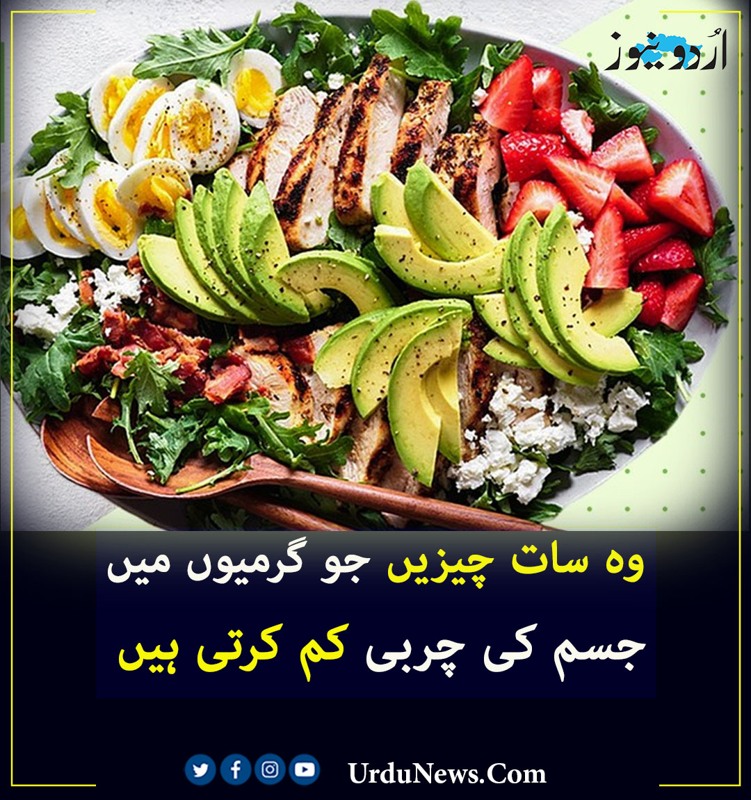 وہ سات چیزیں جو گرمیوں میں جسم کی چربی کم کرتی ہیں
تفصیلات: urdunews.com/node/774606
#HealthCare #LifeStyle #UrduNews