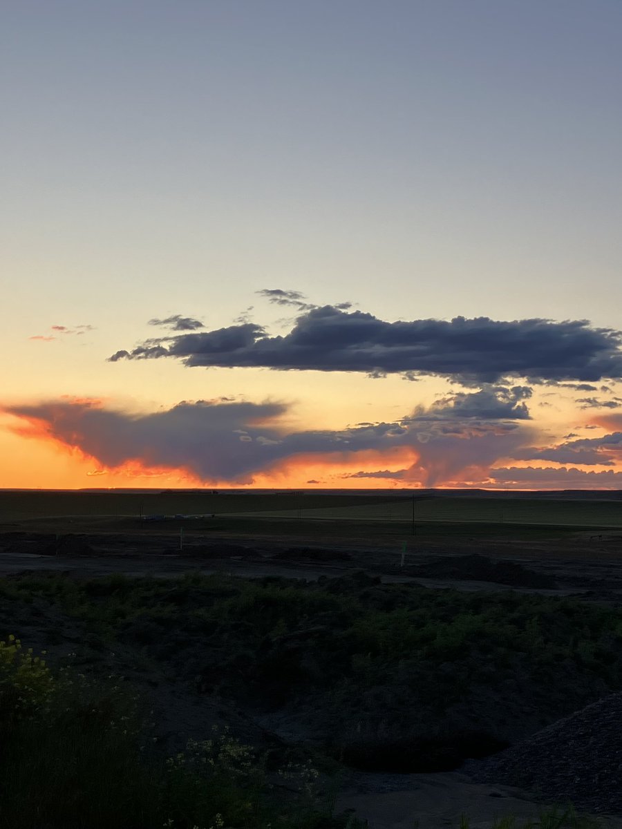 Jax (@jaxdoglife) on Twitter photo 