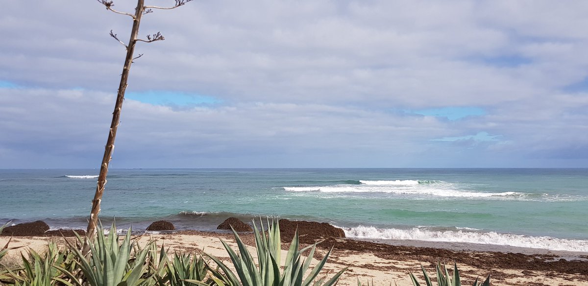 Diongroove's tweet photo. #SwellTime 🌊🏄‍♂️
#DrIndianOcean 🏝🙏 https://t.co/jLeXe7v1Y0