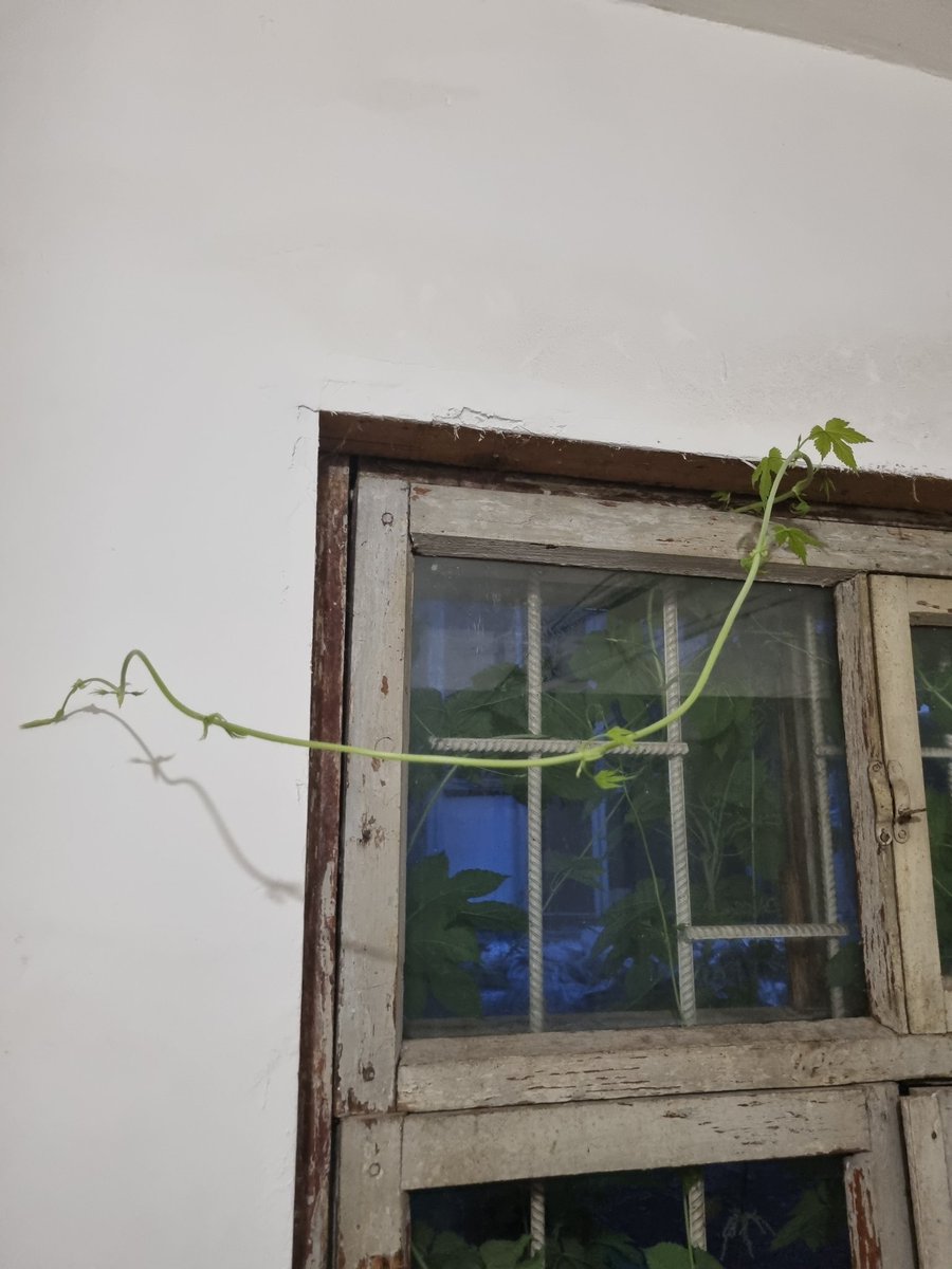 Frontier Radio tweet media