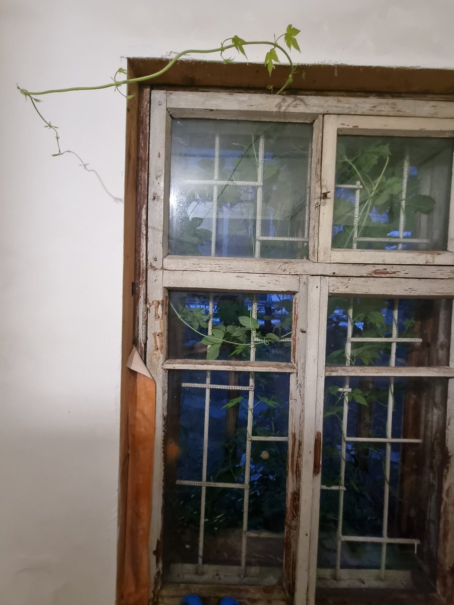 Frontier Radio tweet media