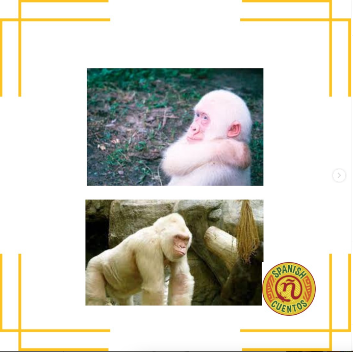 Spanish Cuentos tweet media