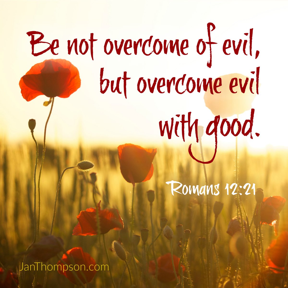 JanLimThompson's tweet photo. “Be not overcome of evil, but overcome evil with good.” (Romans 12:21).

#verseoftheday #bibleverse #bible https://t.co/lFYvGDzLZ8