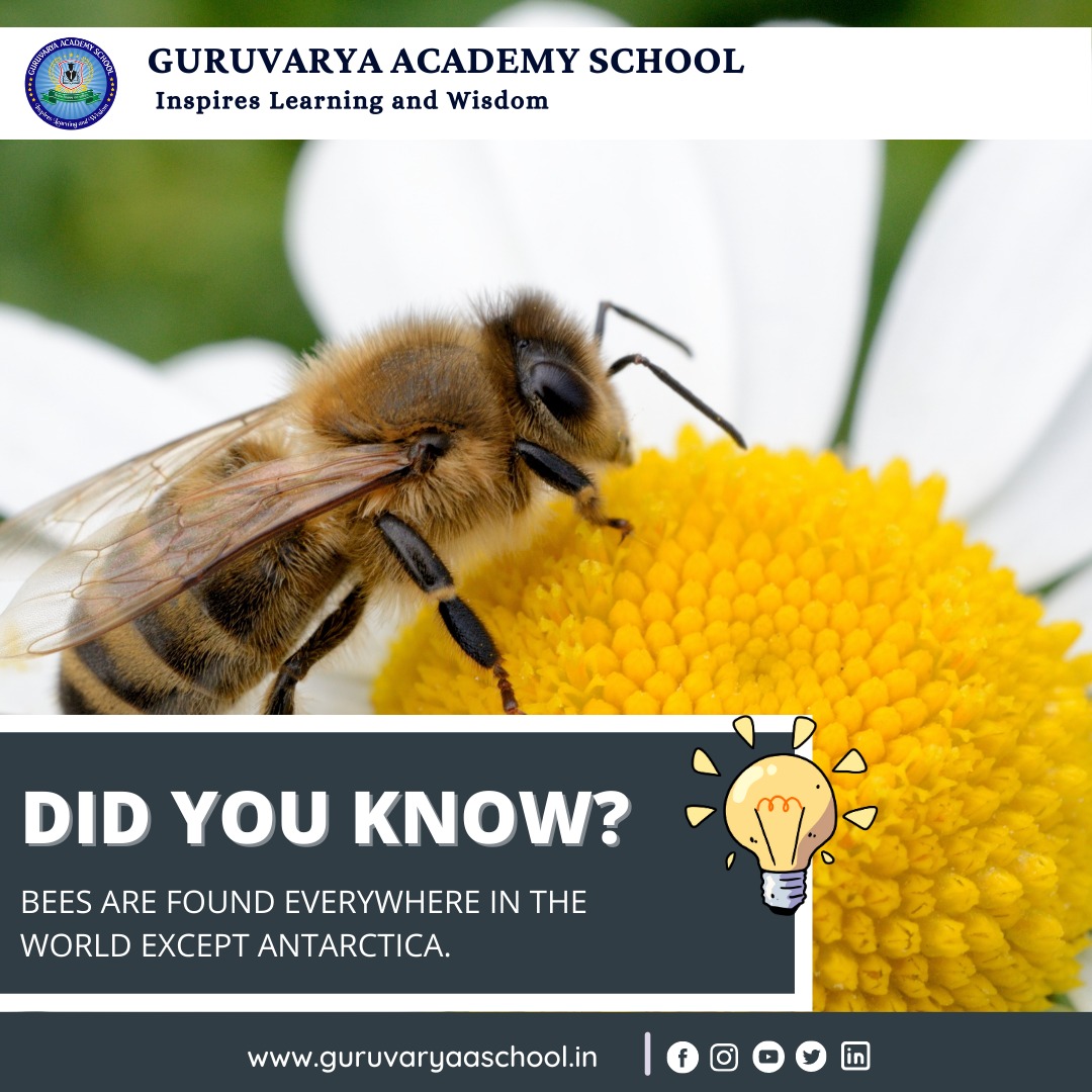 Did you know?

Bees are found everywhere in the world except Antarctica🌊🐝

#didyouknow #facts #fact #knowledge #factsdaily #didyouknowfacts #dailyfacts #amazingfacts #knowledgeispower #factz #funfacts #interestingfacts #generalknowledge #instafacts #truefacts