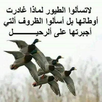 بدر (@bdd186) on Twitter photo 2023-06-22 04:02:55